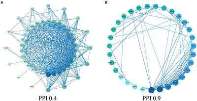 Mechanism of N-0385 blocking SARS-CoV-2 to treat COVID-19 based on molecular docking and molecular dynamics